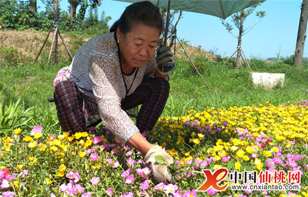 W020180315515234456898