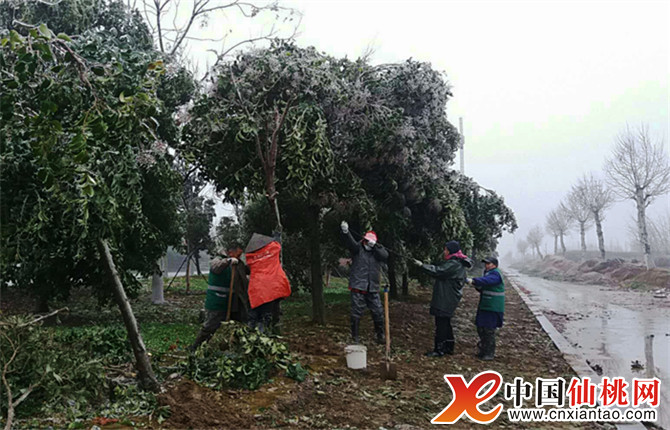 W020180315524044626350