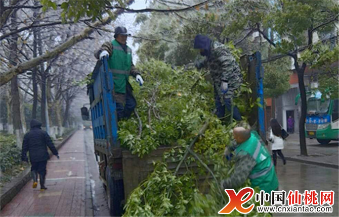 W020180315524045121983