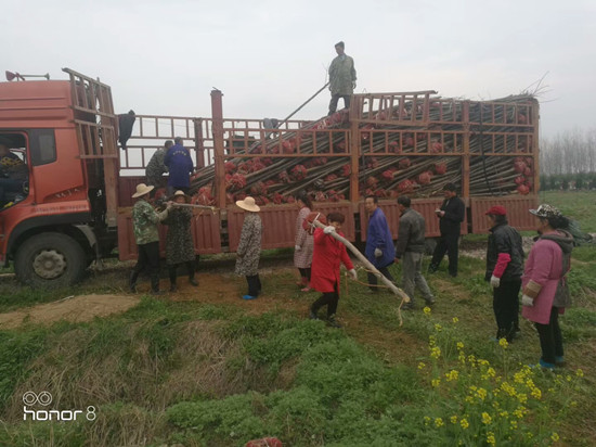 W020180316558813683577