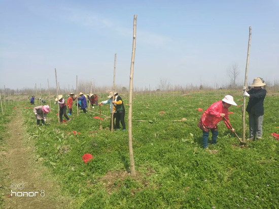 W020180316558813691823