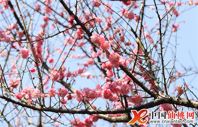 W020180316567589947281