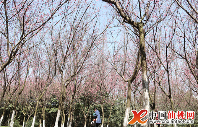 W020180316567590461101