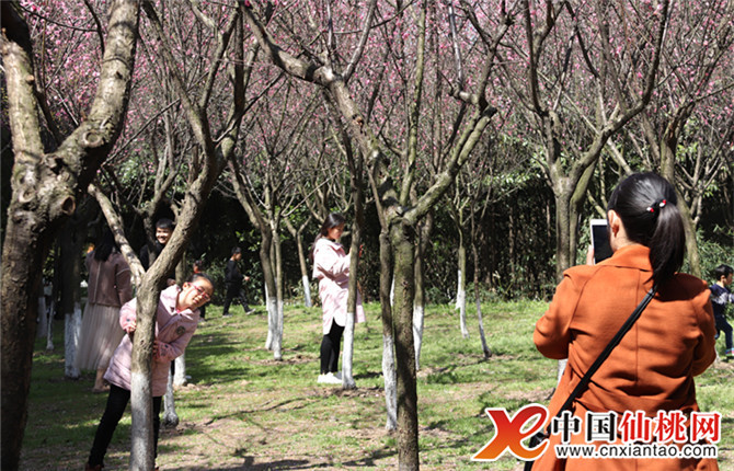 W020180316567590704201