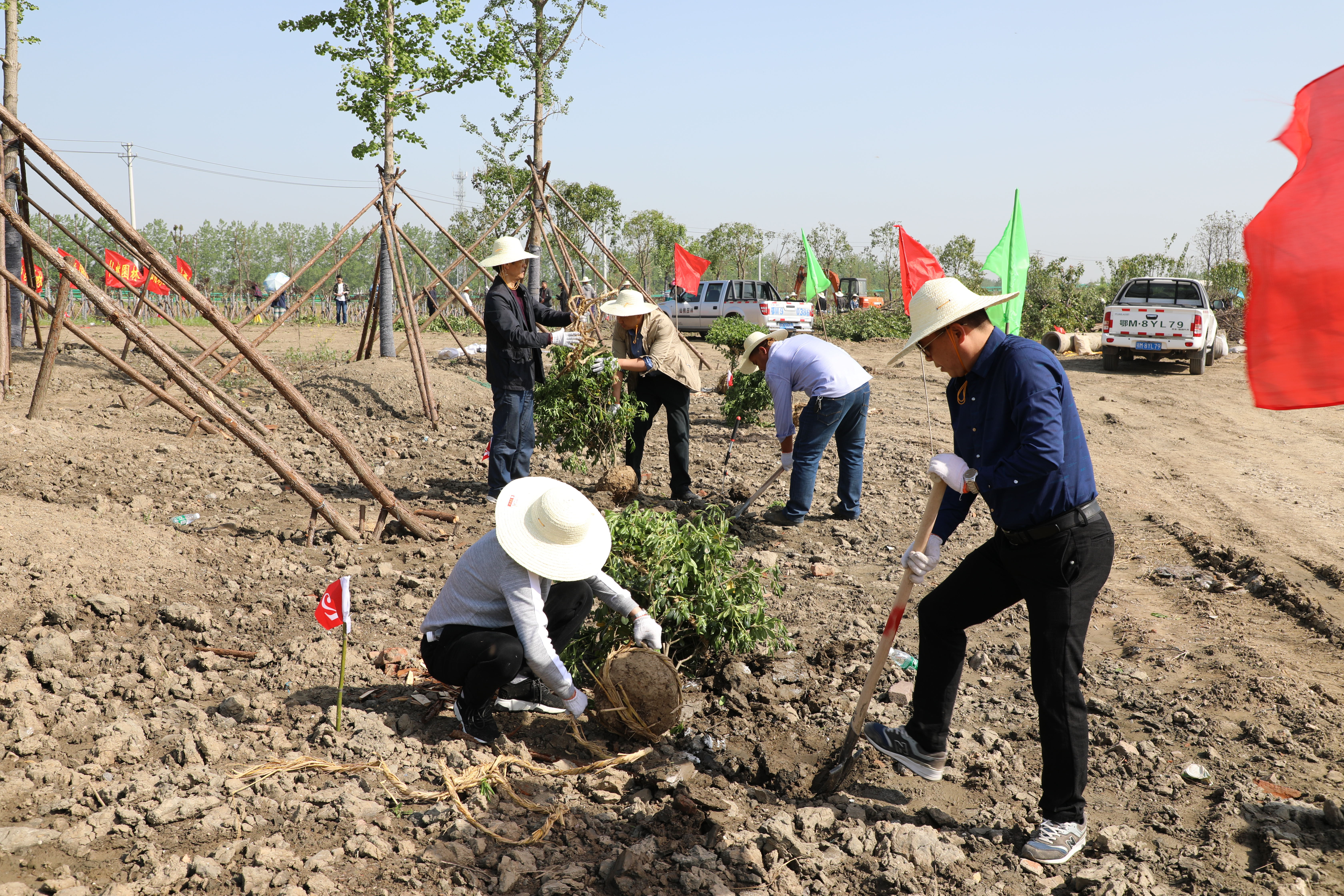 W020180419528504134115