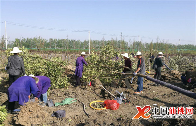 W020180420349354281561