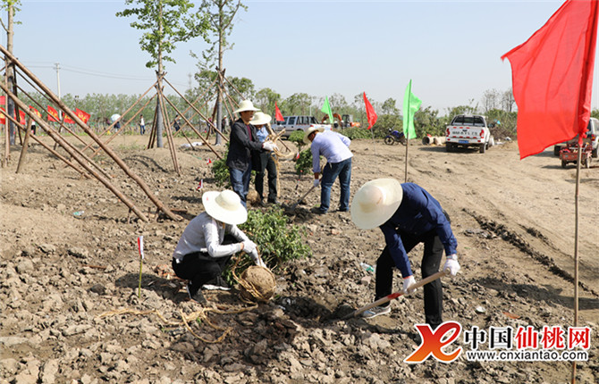 W020180420349354435033