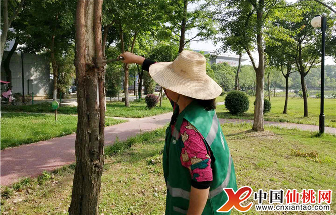 W020180613305585138882