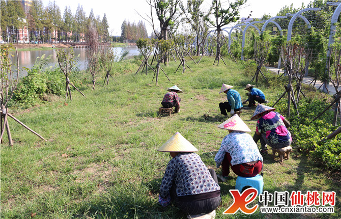 W020181008560850281621