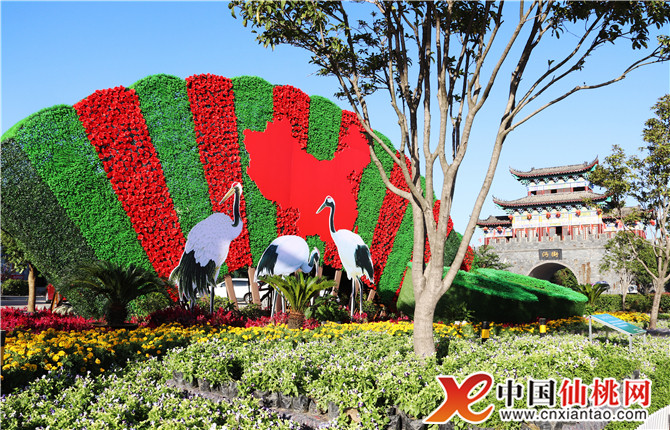 W020181008564559621895