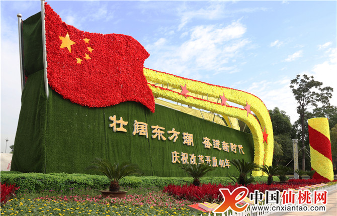 W020181008564559758030