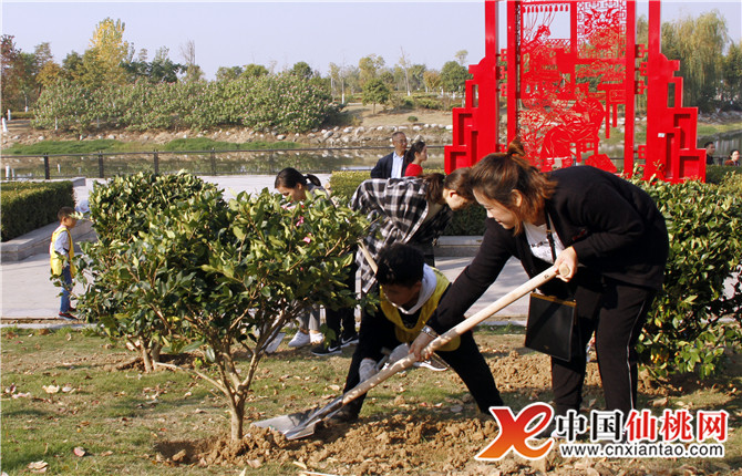 W020181106542177037229