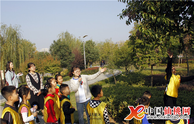 W020181106542177038591