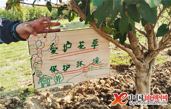 W020181106542177050213