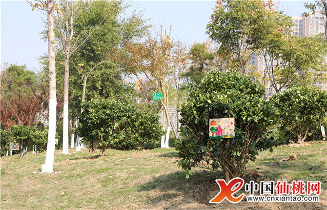 W020181106542177052866