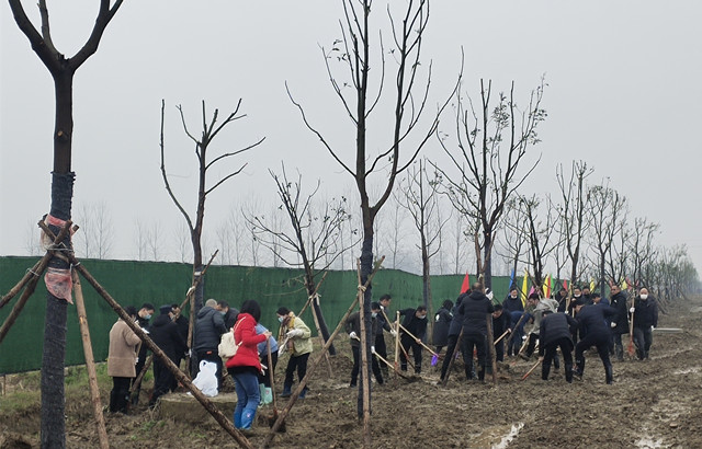 W020210302342352515796