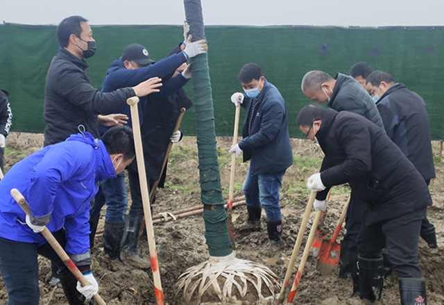 W020210302342353166207