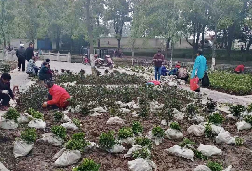 W020210504584311272388