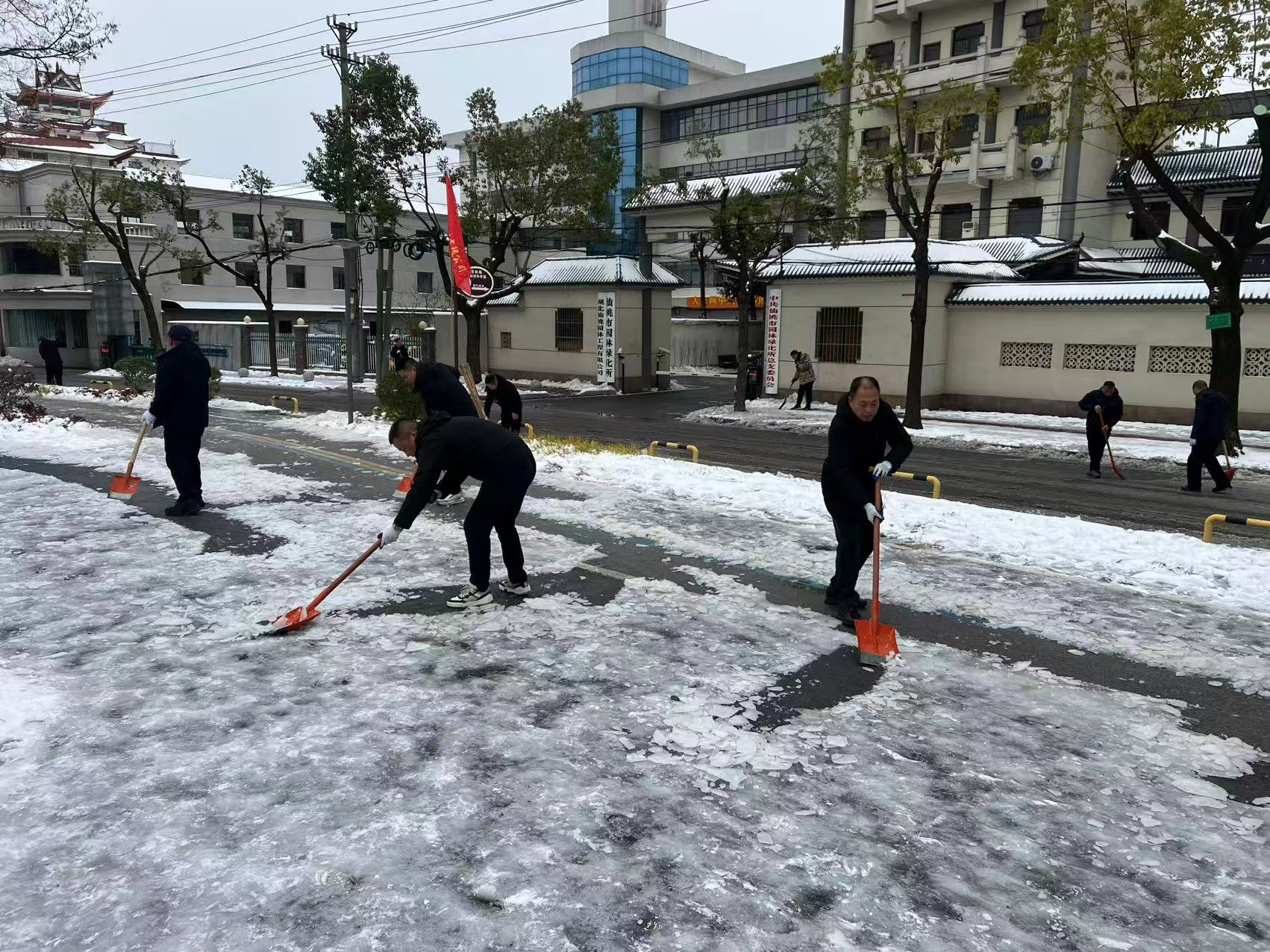 W020260121559163814709