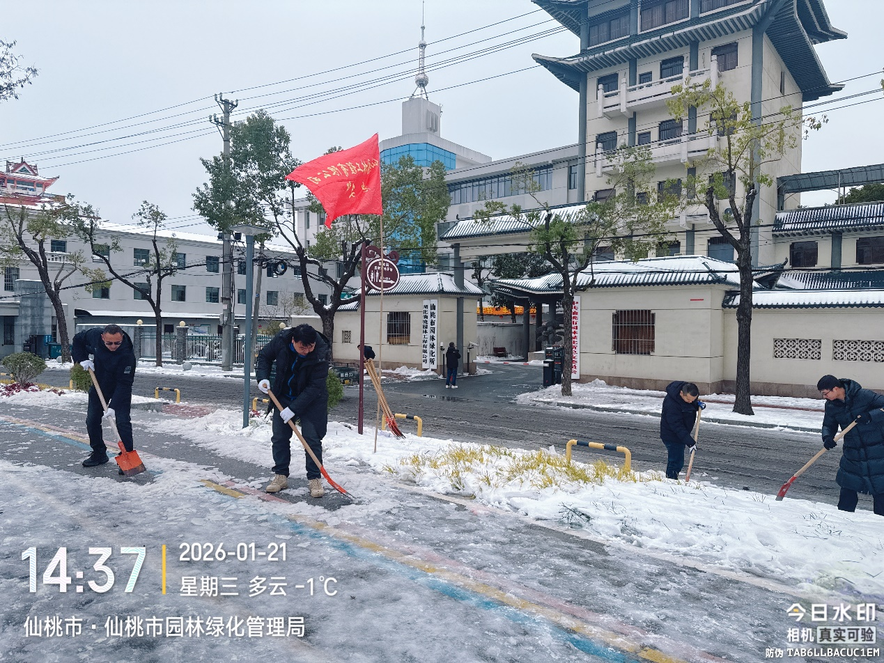 W020260121559163858487