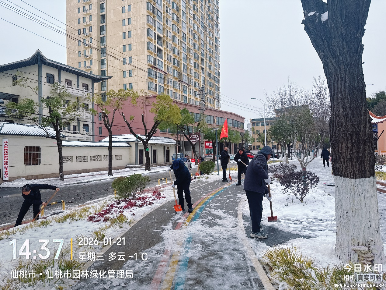 W020260121559163888522