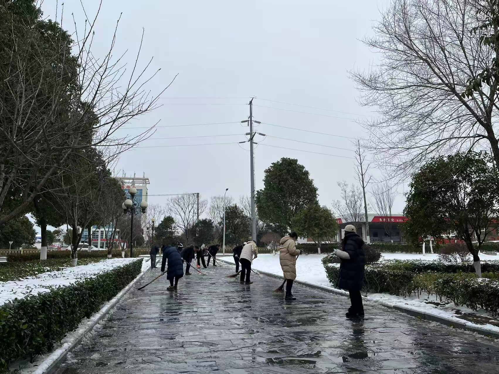 W020260121559163961116