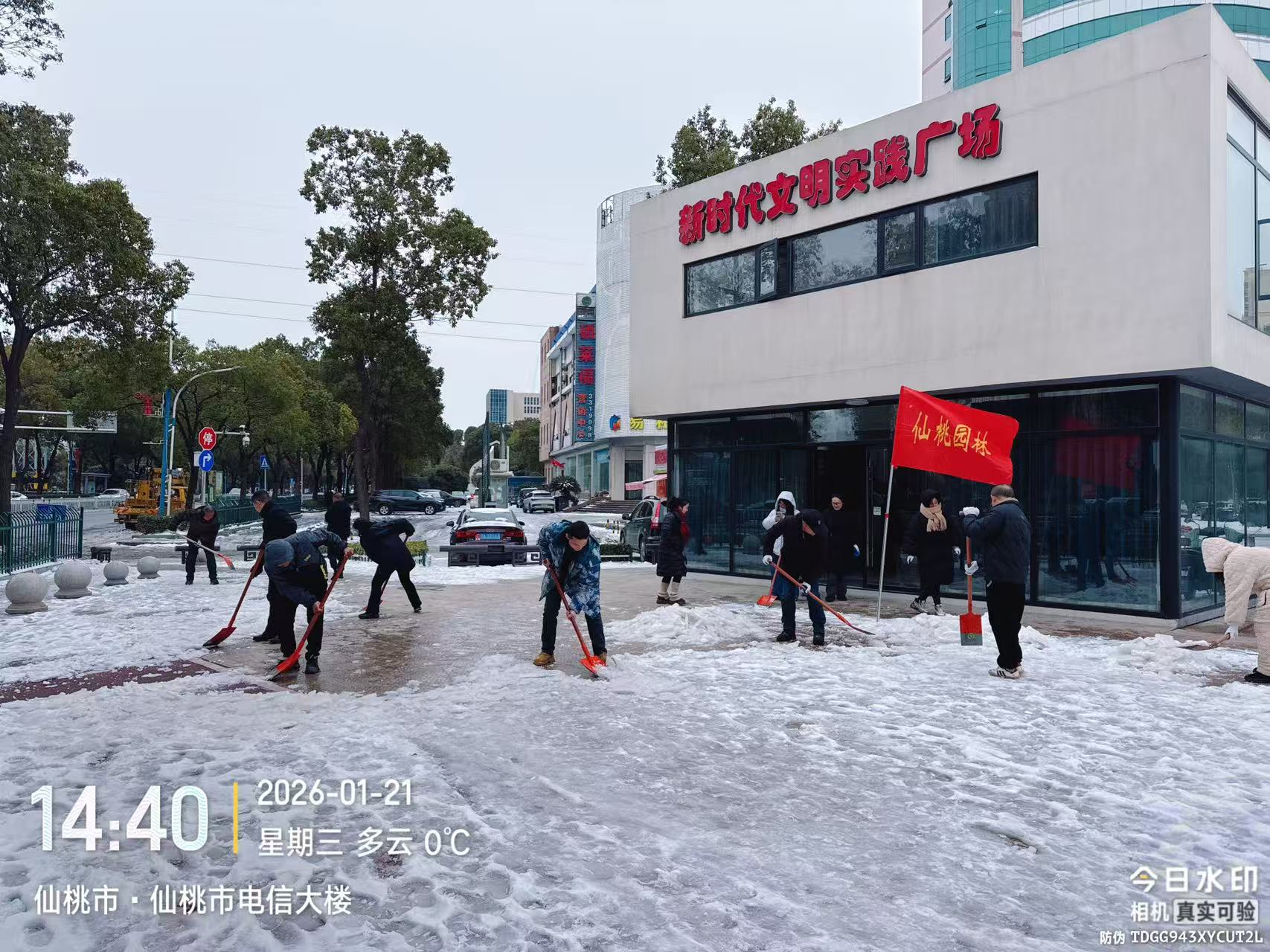 W020260121559164004482