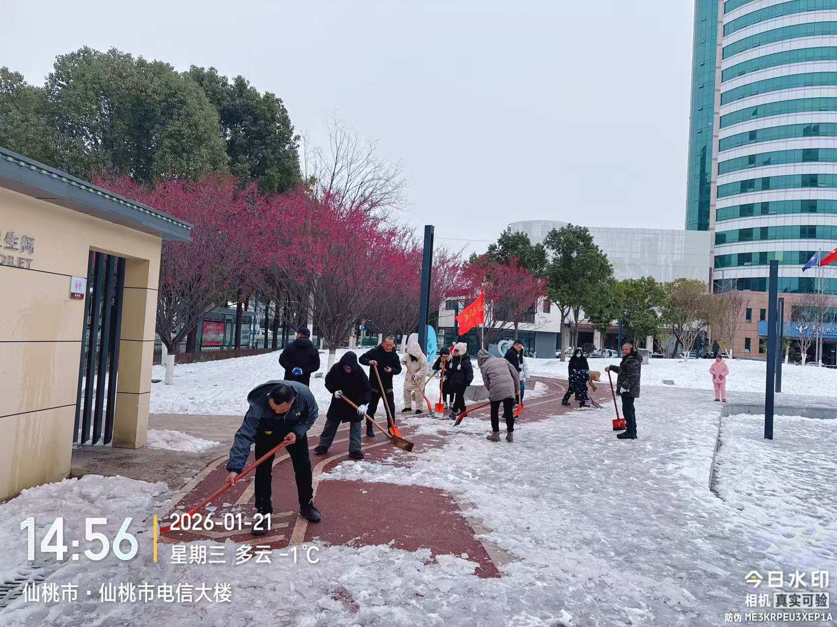 W020260121559164097752