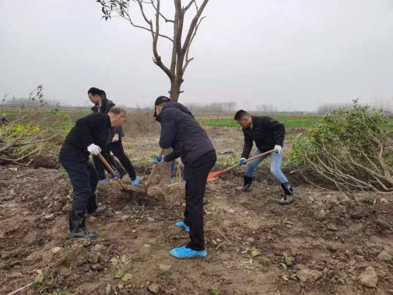 W020260303412970512682