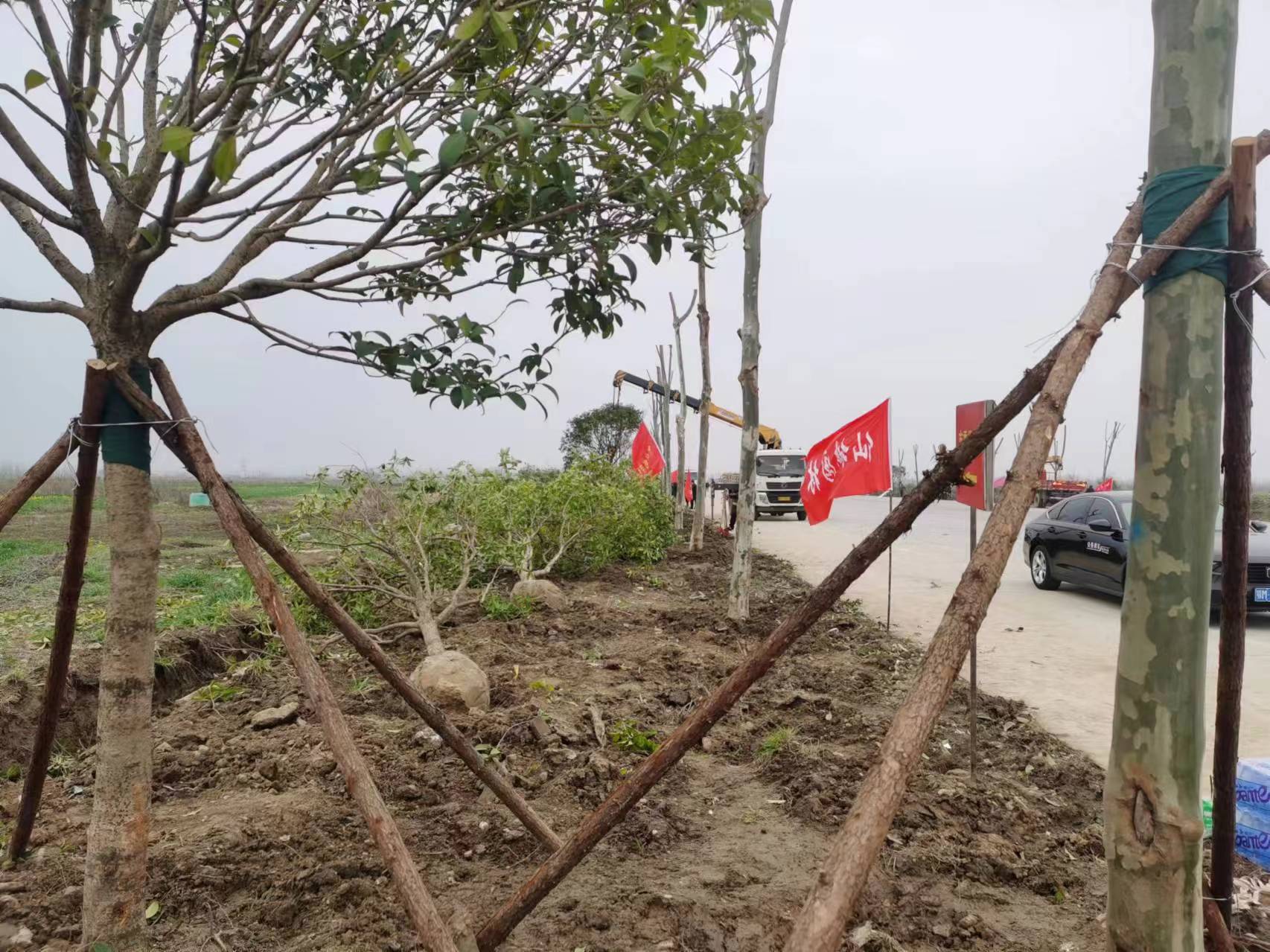 W020260303412970520183