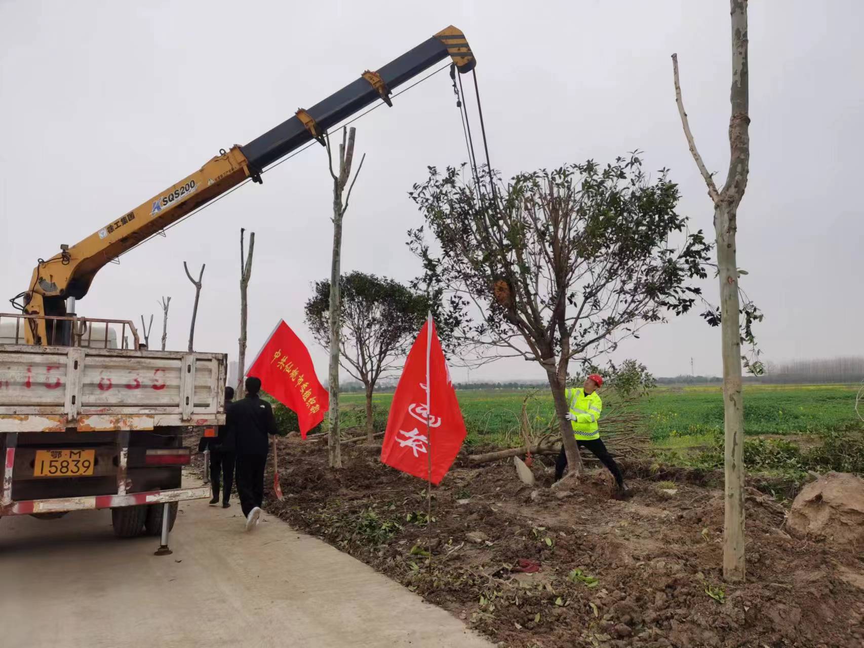 W020260303412970523181