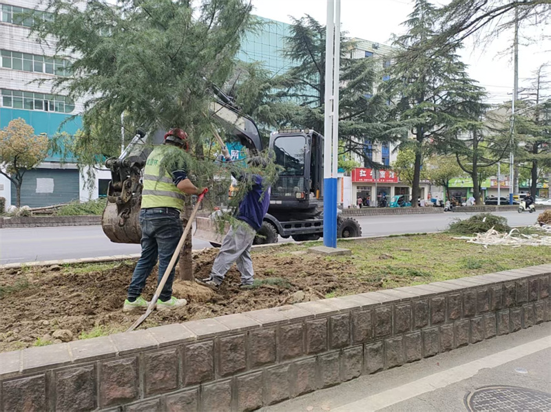 W020260409381663282413